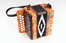 S20XL-C-GOLD Гармонь Ромашка 15х12-I, палехская роспись, Шуйская гармонь