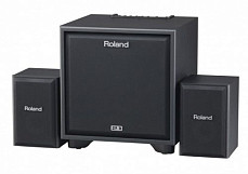 Мониторная система Roland Cube-Monitor-220