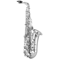 Альт саксофон Yanagisawa Professional A-WO1S