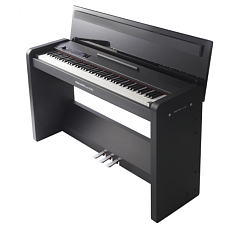 Цифровое пианино AVEC KORG Pearl River PRK-500EB