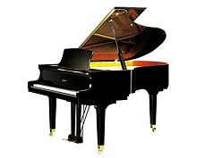 Рояль Ritmuller GP160R1, Черный